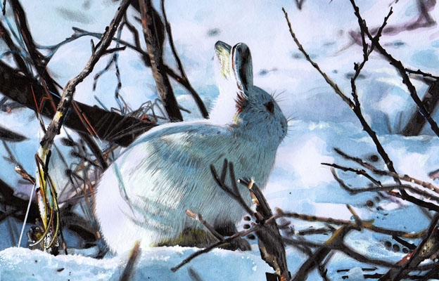 Emily Milne Wallis portfolio image
